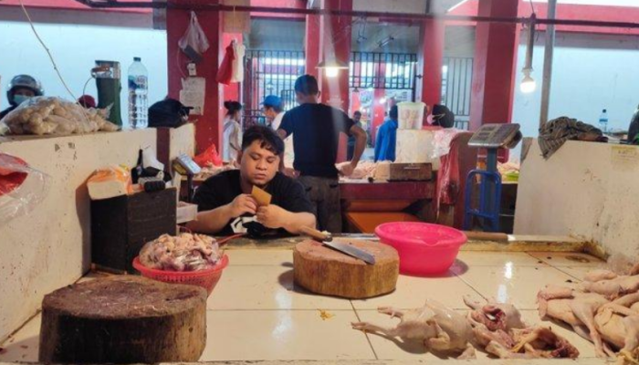 Penjual daging ayam di Pasar Bersehati, Manado, di Sulawesi Utara (Sc: Tribun Manado)