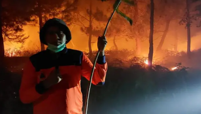 Kebakaran di Hutan Lindung Gunung Soputan pada Minggu tengah malam tanggal 3 September 2023.