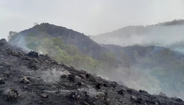 Incipti kebakaran di daerah Bukit Pulisan, bagian dari Kecamatan Likupang Timur (Liktim).