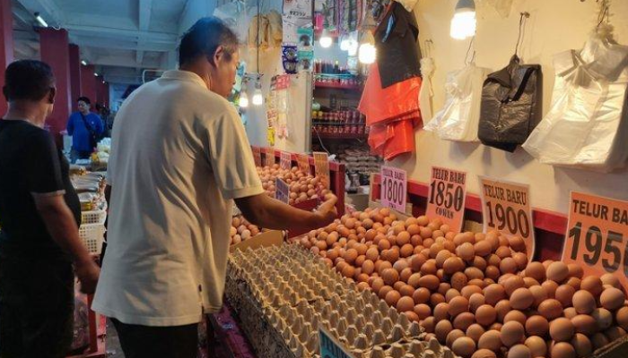pasar bersehati, Manado, Sulawesi Utara, harga telur ayam, kenaikan harga, pedagang, pembeli, ekonomi lokal.