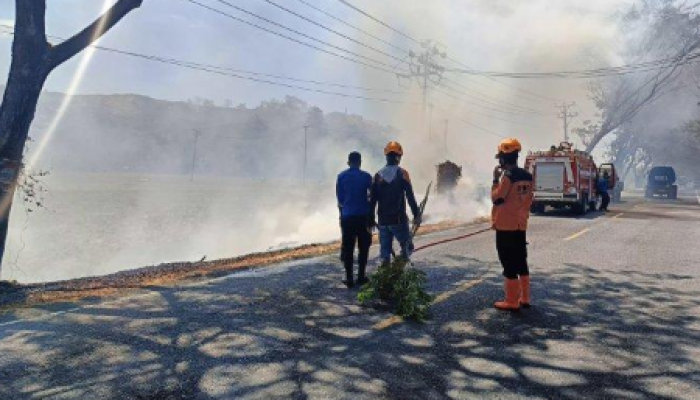 Kebakaran lahan terjadi di Desa Solog, Kecamatan Lolak, Kabupaten Bolaang Mongondow, Sulawesi Utara, pada Selasa, 19 September 2023.