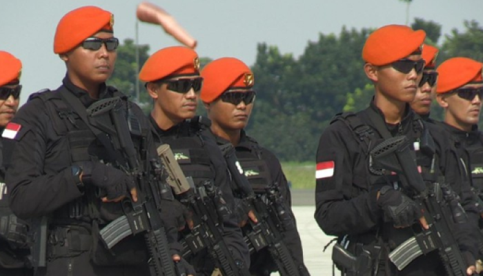 Tentara Nasional Indonesia (TNI).