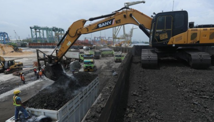 Gambar: Kegiatan Pengangkutan dan Pemuatan Batu Bara di Terminal Tanjung Priok.