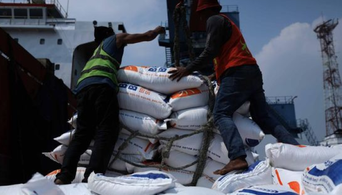 Petugas bongkar muat beras impor Vietnam di Tanjung Priok, Jakarta pada Rabu (13/9/2023).