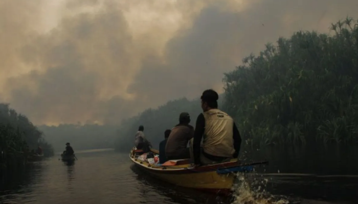 Asap melonjak dari hutan terbakar di Palangka Raya, Kalimantan Tengah, pada Minggu (8/10/2023).