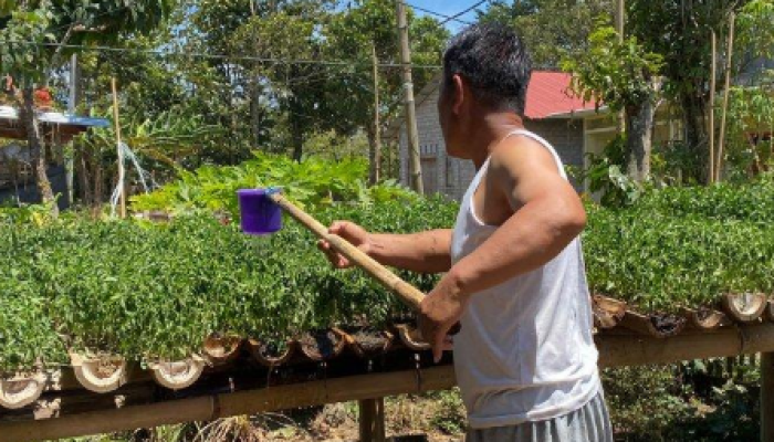 Petani di Minahasa, khususnya di Tumaratas Langowan,