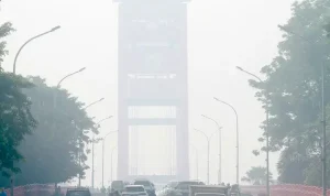 Kabut