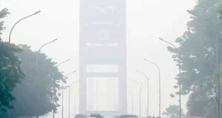 Kabut