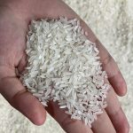 Harga Beras